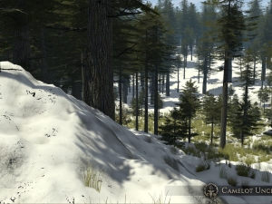 landscape 1